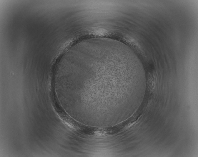 X0000062790496200512290226