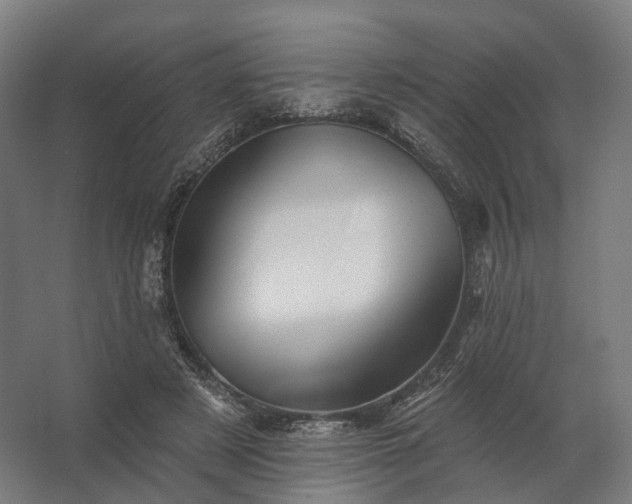 X0000062790497200512290226