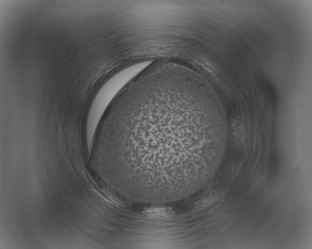 X0000062790499200512290226