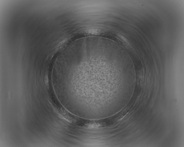 X0000062790500200512290226