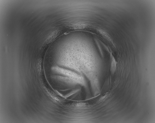 X0000062790501200512290226