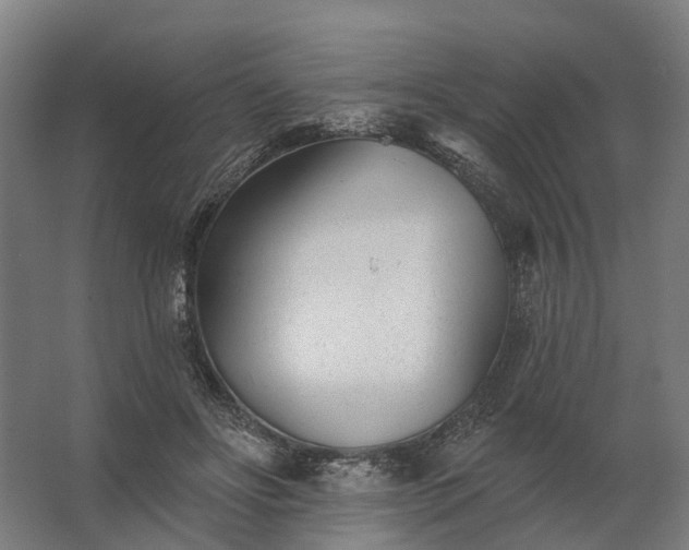 X0000062790502200512290226