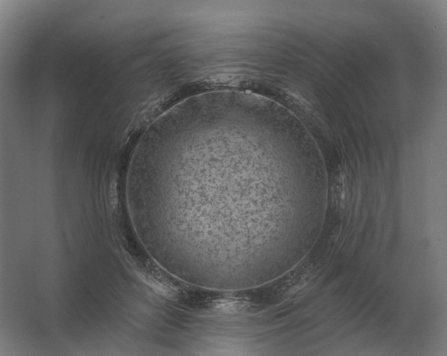 X0000062790504200512290226