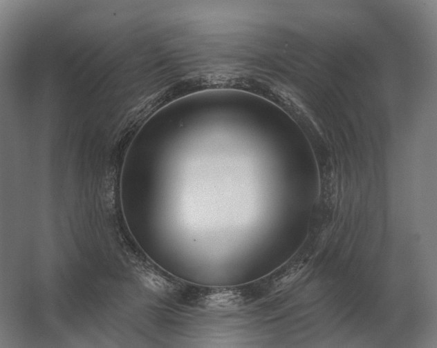 X0000062790505200512290226