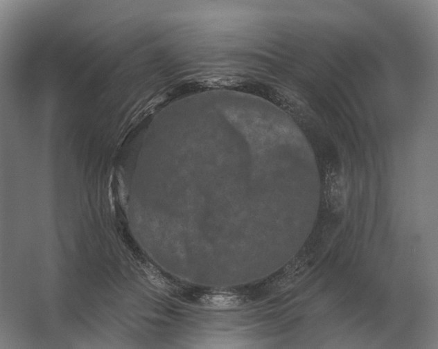 X0000062790506200512290226