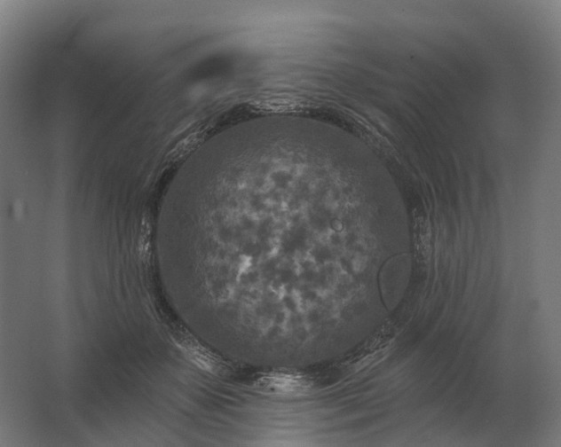 X0000062790507200512290226