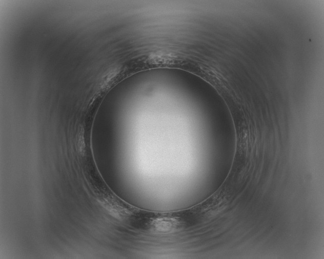 X0000062790508200512290226