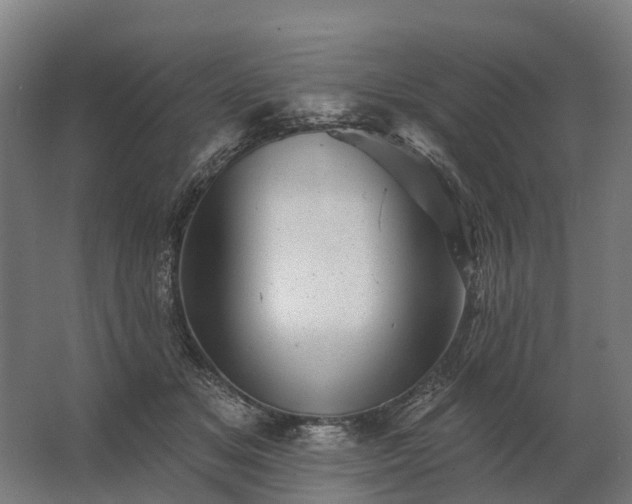 X0000062790509200512290226