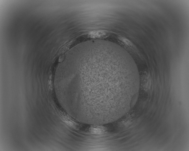 X0000062790510200512290226