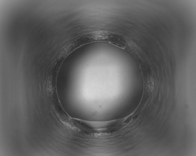 X0000062790512200512290226