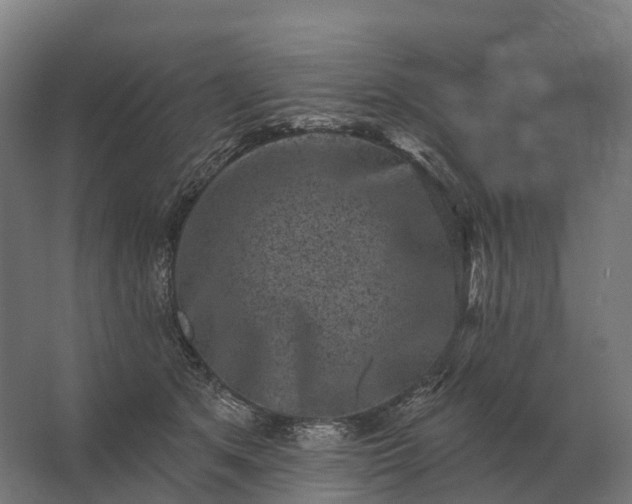 X0000062790513200512290226