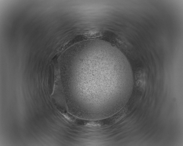 X0000062790515200512290226