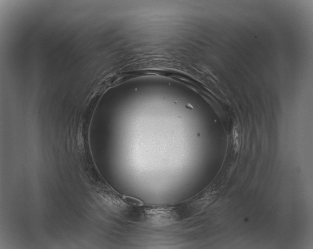 X0000062790516200512290226