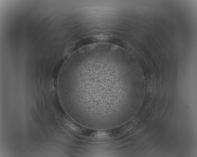 X0000062790518200512290226