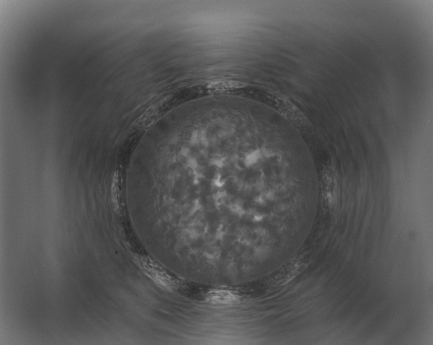 X0000062790519200512290226