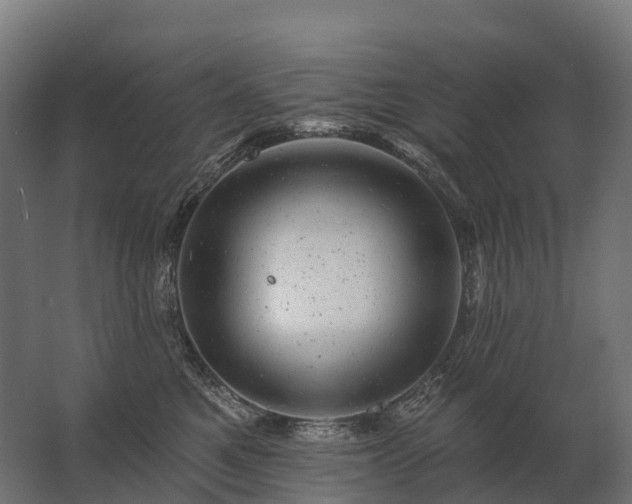 X0000062790521200512290226