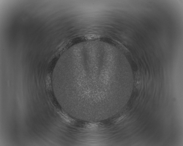 X0000062790523200512290226