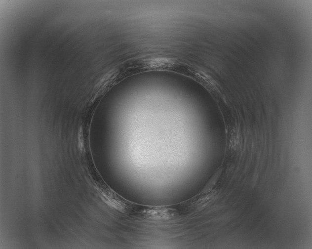 X0000062790524200512290226