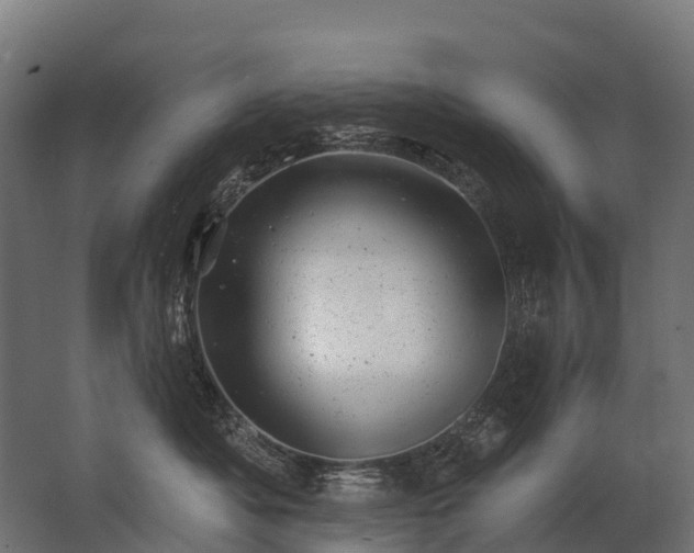 X0000062790525200512290226