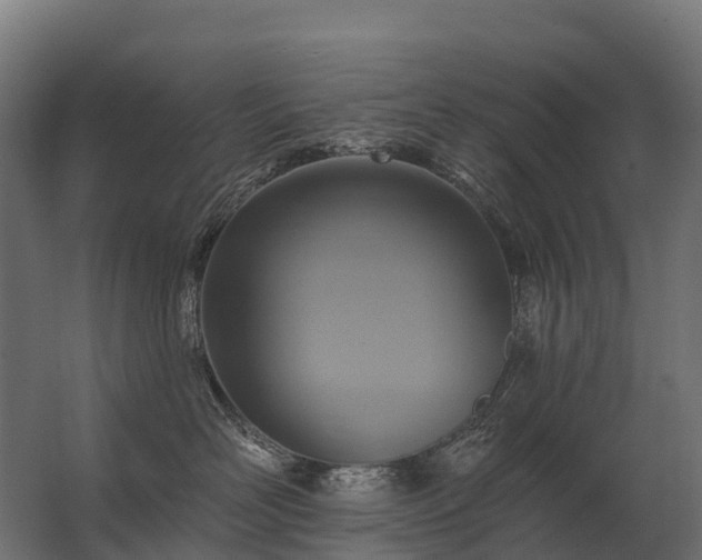 X0000062790526200512290226