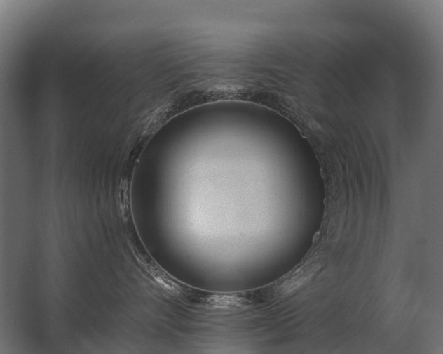 X0000062790528200512290226