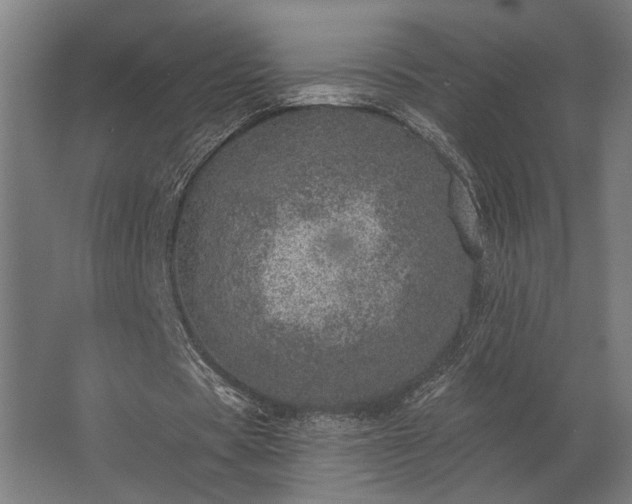 X0000062790529200512290225