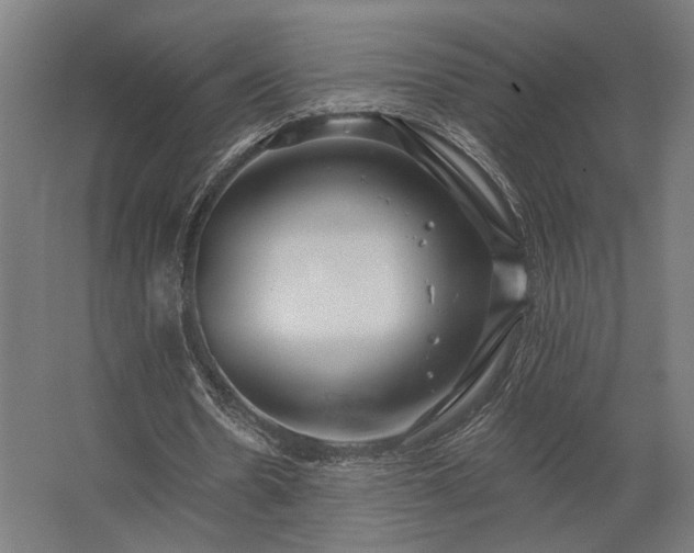 X0000062790530200512290225