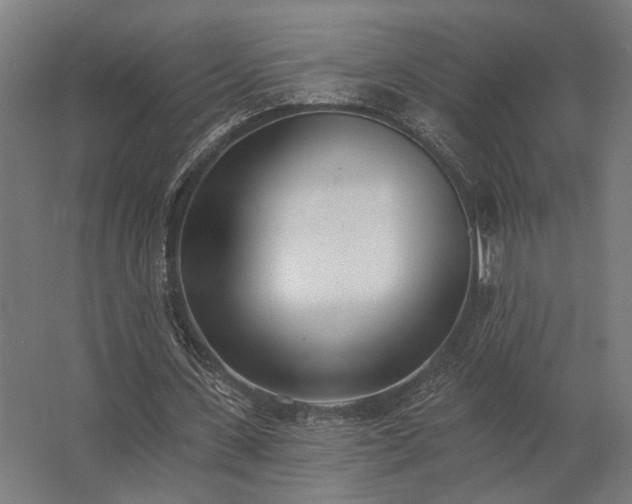 X0000062790531200512290225