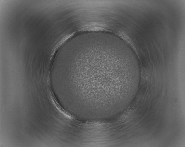 X0000062790533200512290225