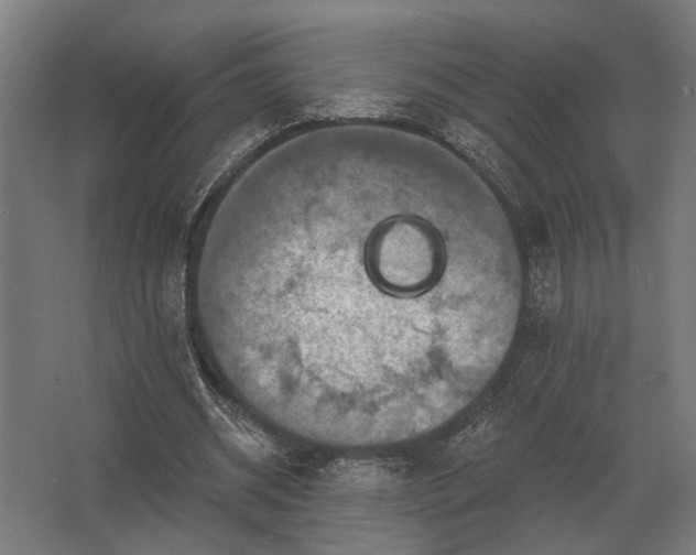 X0000062790534200512290225