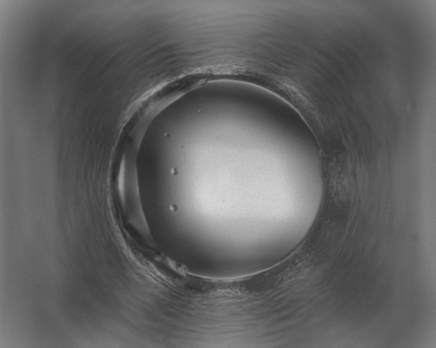 X0000062790536200512290225