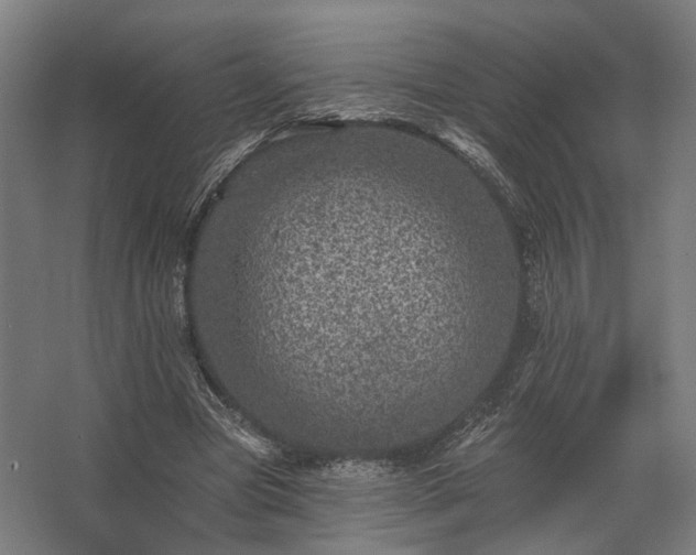 X0000062790537200512290225