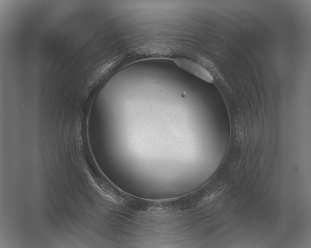 X0000062790538200512290225