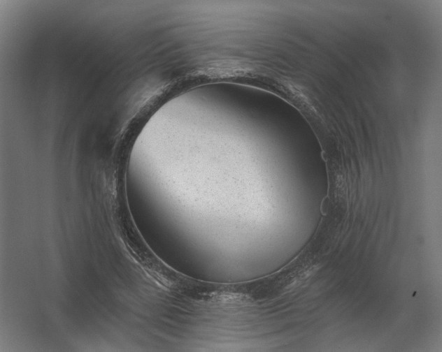 X0000062790539200512290225