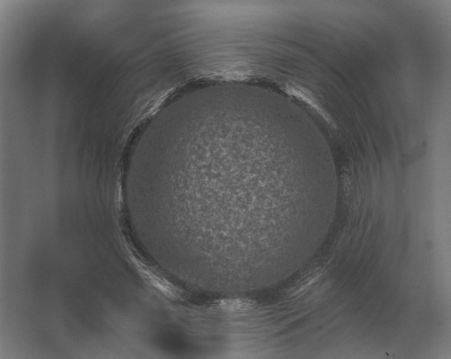 X0000062790541200512290225