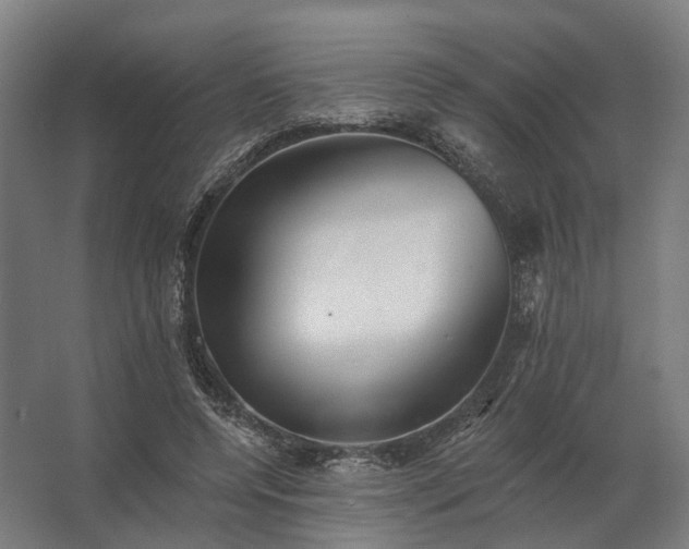 X0000062790544200512290225