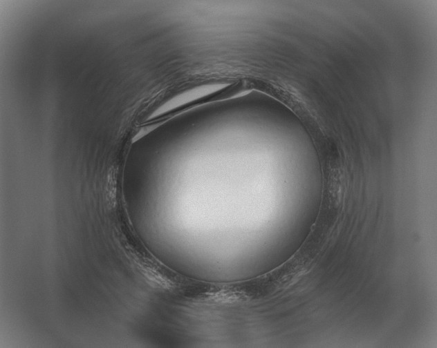 X0000062790545200512290225