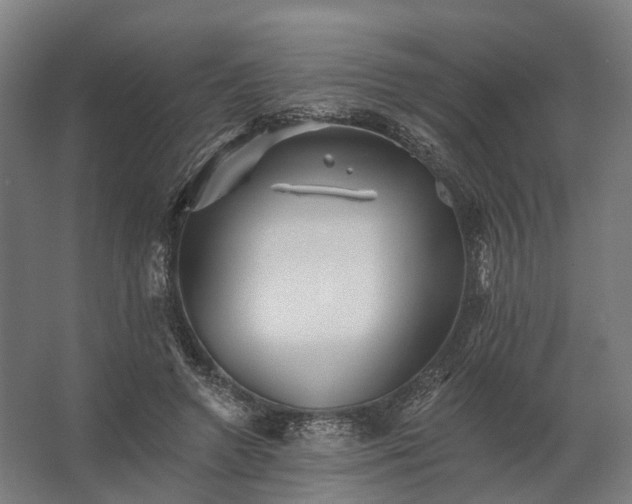 X0000062790546200512290225