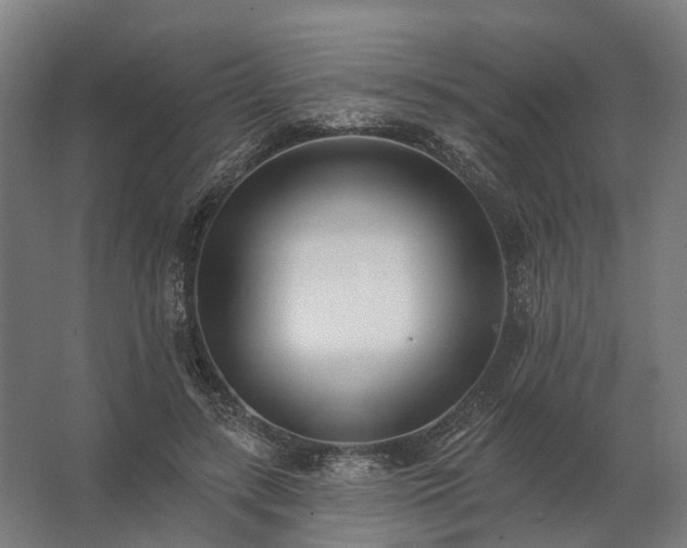 X0000062790547200512290225