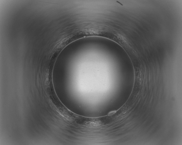 X0000062790548200512290225