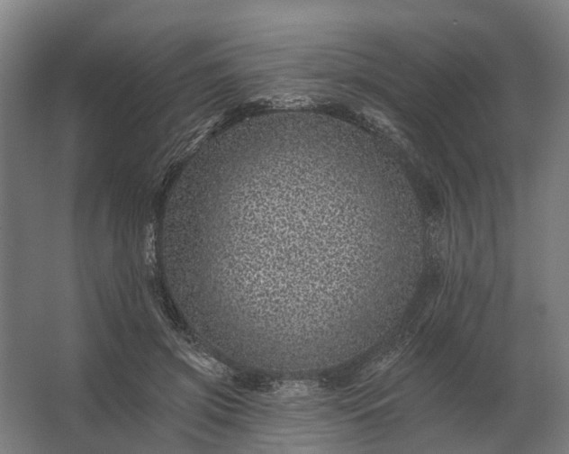 X0000062790549200512290225