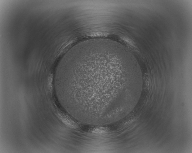 X0000062790550200512290225