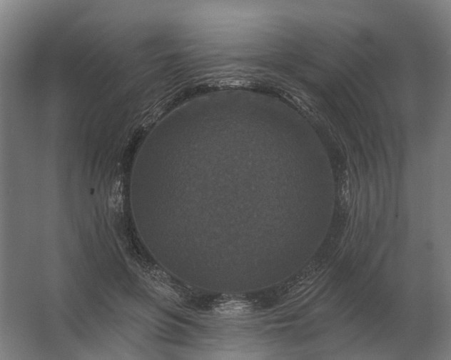 X0000062790551200512290225