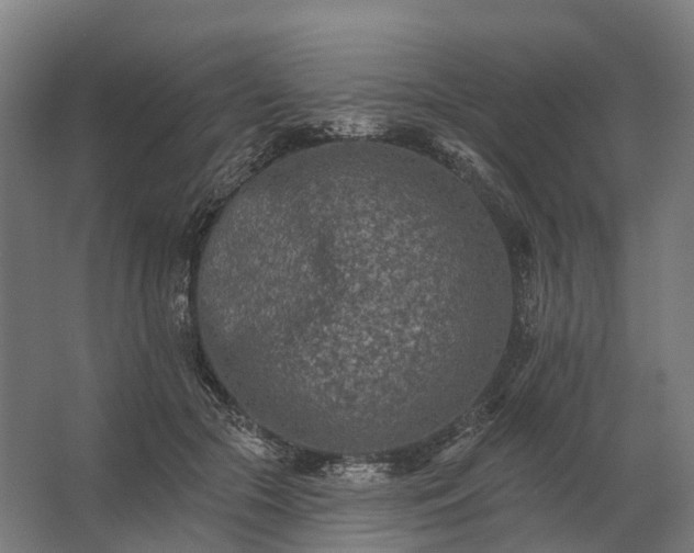 X0000062790553200512290225