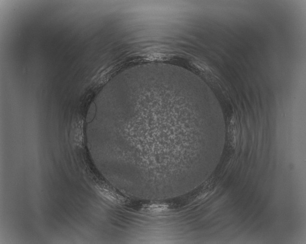 X0000062790554200512290225