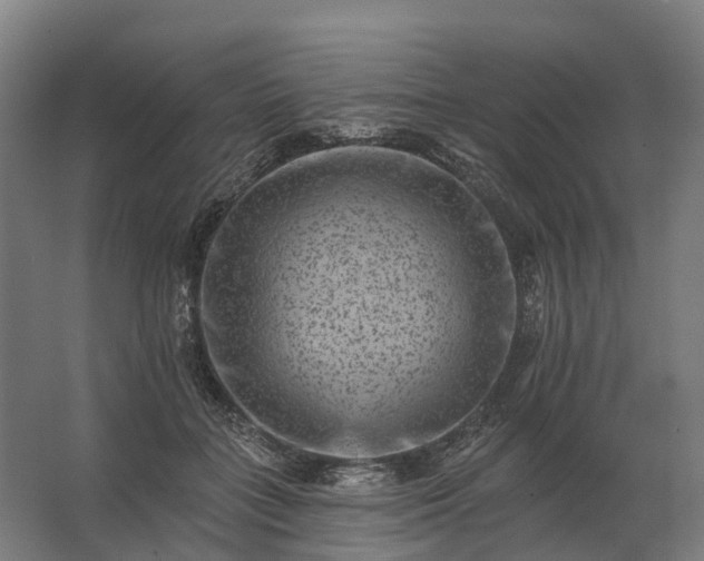 X0000062790555200512290225