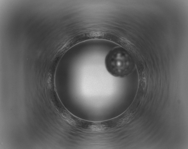 X0000062790556200512290225