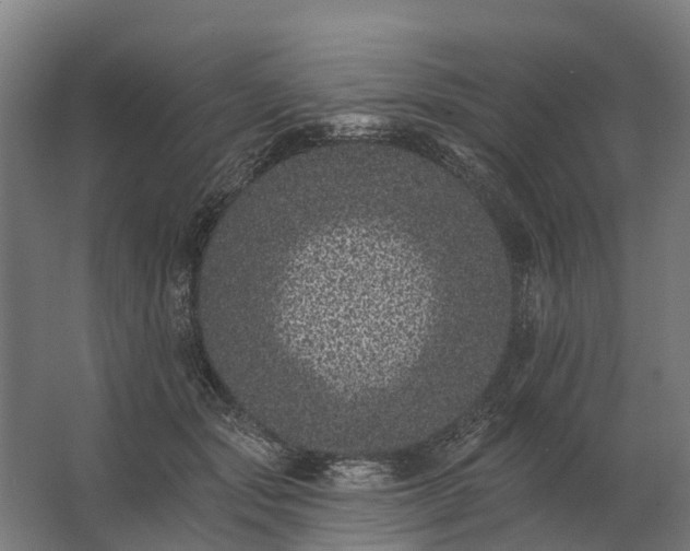 X0000062790557200512290225