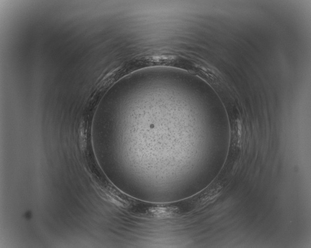 X0000062790558200512290225