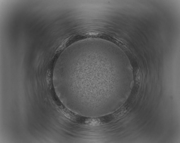 X0000062790559200512290225